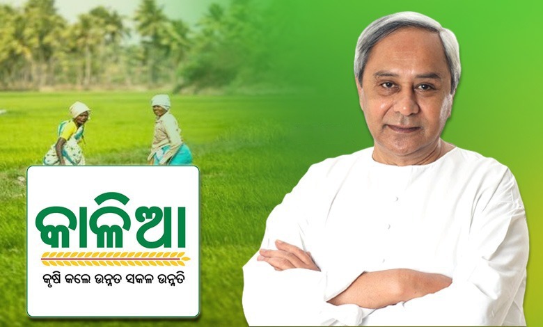 ରାଜ୍ୟର ଅନ୍ନଦାତାଙ୍କ ପାଇଁ ନବୀନଙ୍କ ଅଭିନବ ପ୍ରୟାସ; ‘କାଳିଆ’ :- କୃଷି କଲେ ଉନ୍ନତ ସକଳ ଉନ୍ନତି